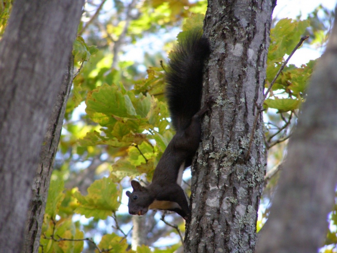 Беневские Столбы (Приморский край, Путешествия, беневское)