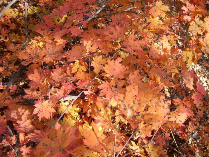 Беневские Столбы (Приморский край, Путешествия, беневское)