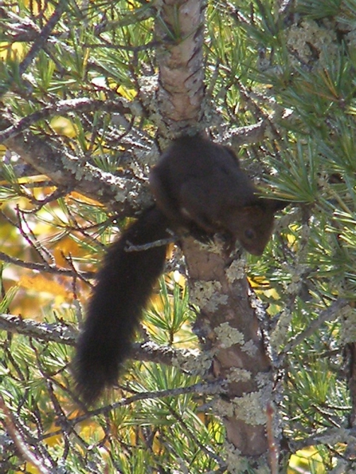 Беневские Столбы (Приморский край, Путешествия, беневское)