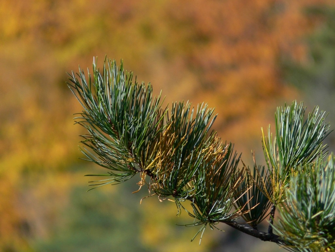 Беневские Столбы (Приморский край, Путешествия, беневское)
