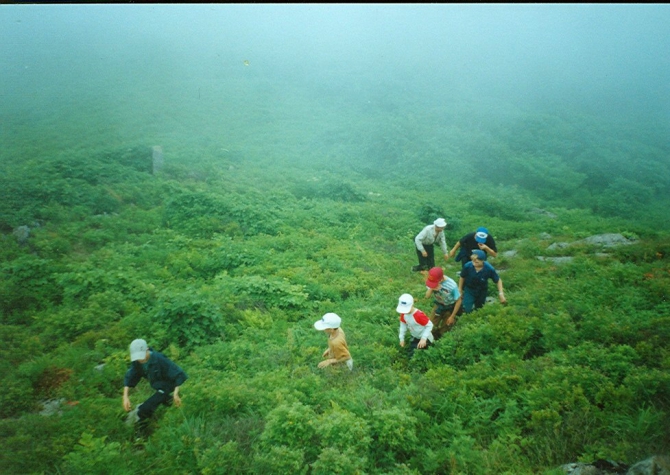 «Остров сокровищ существует!» (Путешествия, детские программы, детские путешествия)