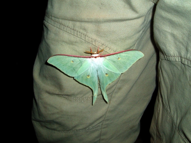 «Остров сокровищ существует!» (Путешествия, детские программы, детские путешествия)