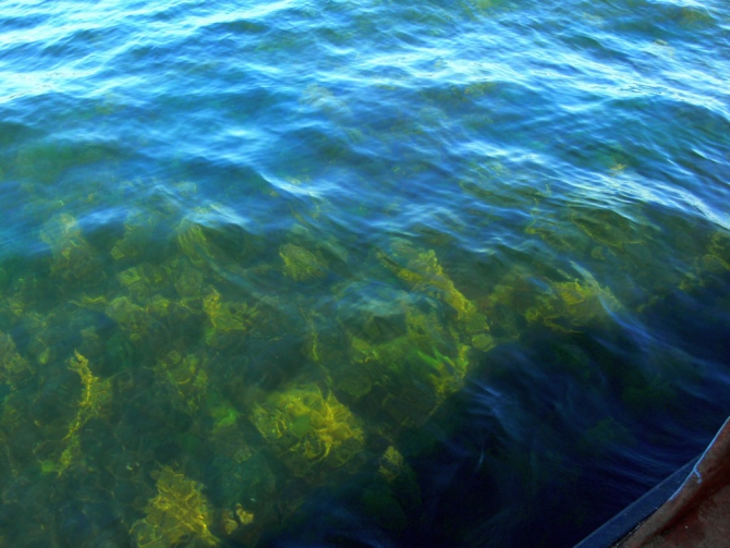 «Остров сокровищ существует!» (Путешествия, детские программы, детские путешествия)