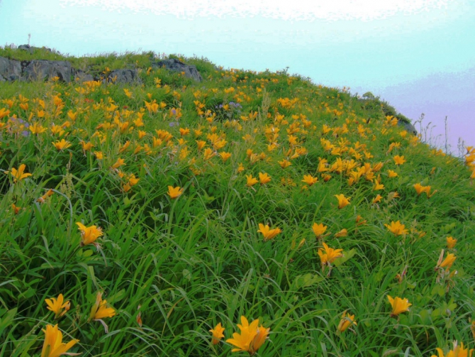 «Остров сокровищ существует!» (Путешествия, детские программы, детские путешествия)