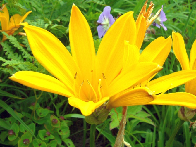 «Остров сокровищ существует!» (Путешествия, детские программы, детские путешествия)