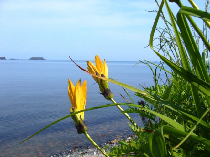 «Остров сокровищ существует!» (Путешествия, детские программы, детские путешествия)