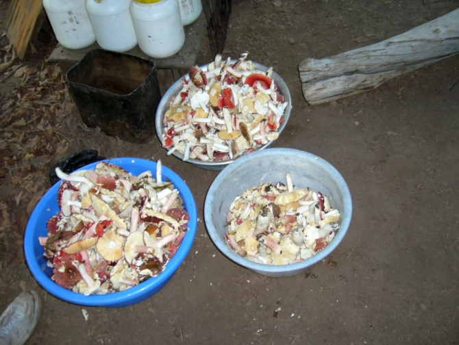 «Остров сокровищ существует!» (Путешествия, детские программы, детские путешествия)