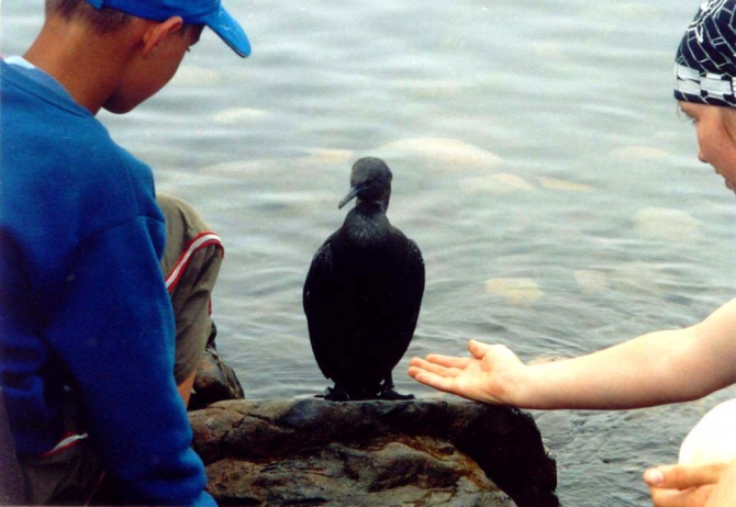 «Остров сокровищ существует!» (Путешествия, детские программы, детские путешествия)
