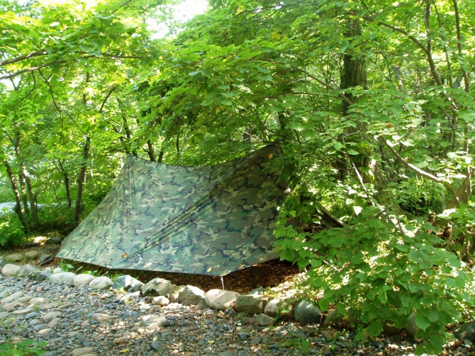 «Остров сокровищ существует!» (Путешествия, детские программы, детские путешествия)