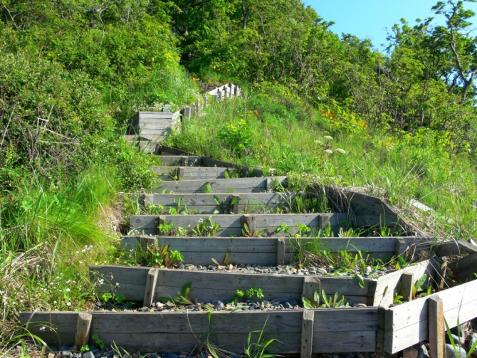 «Остров сокровищ существует!» (Путешествия, детские программы, детские путешествия)