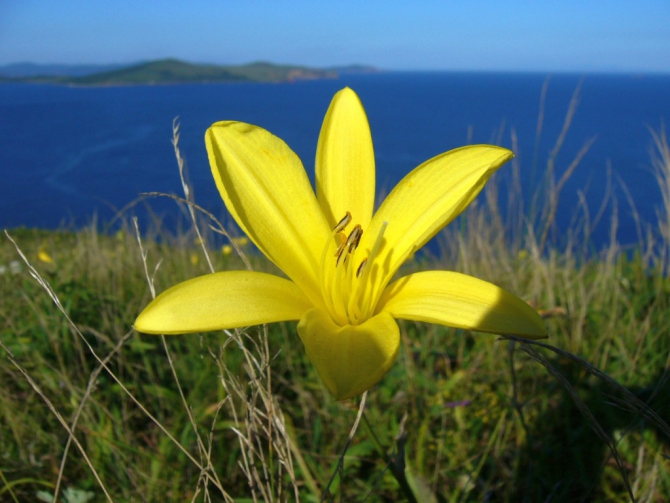 «Остров сокровищ существует!» (Путешествия, детские программы, детские путешествия)