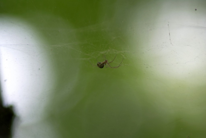 «Остров сокровищ существует!» (Путешествия, детские программы, детские путешествия)