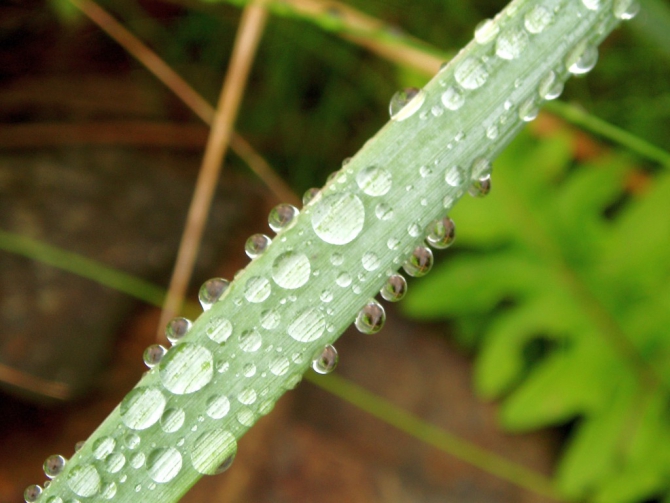 «Остров сокровищ существует!» (Путешествия, детские программы, детские путешествия)