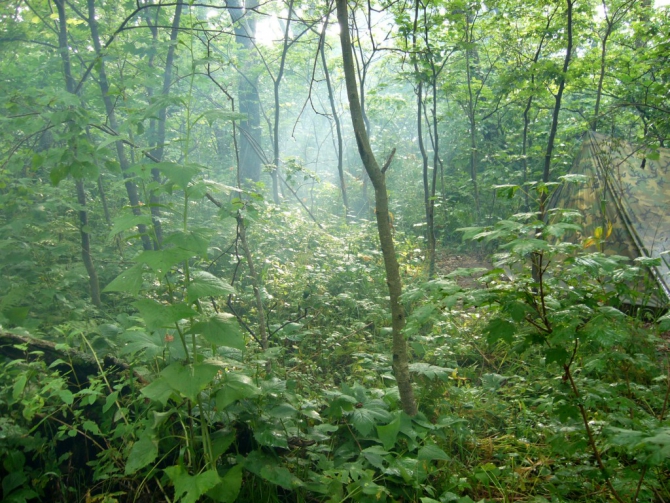 «Остров сокровищ существует!» (Путешествия, детские программы, детские путешествия)