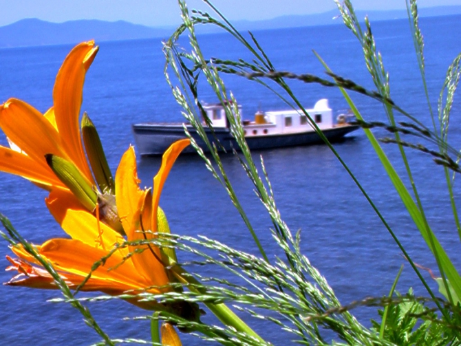 «Остров сокровищ существует!» (Путешествия, детские программы, детские путешествия)