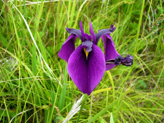 «Остров сокровищ существует!» (Путешествия, детские программы, детские путешествия)