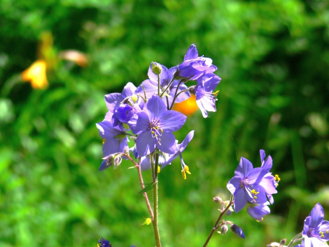 «Остров сокровищ существует!» (Путешествия, детские программы, детские путешествия)