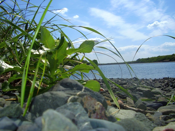 «Остров сокровищ существует!» (Путешествия, детские программы, детские путешествия)