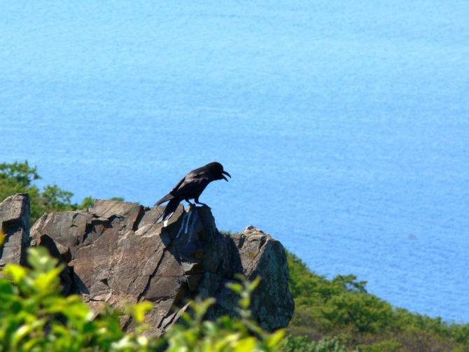 «Остров сокровищ существует!» (Путешествия, детские программы, детские путешествия)