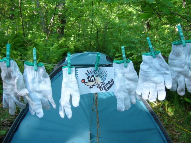 «Остров сокровищ существует!» (Путешествия, детские программы, детские путешествия)