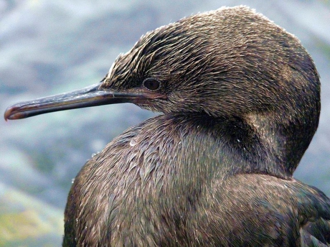 «Остров сокровищ существует!» (Путешествия, детские программы, детские путешествия)