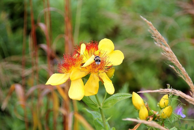 «Остров сокровищ существует!» (Путешествия, детские программы, детские путешествия)