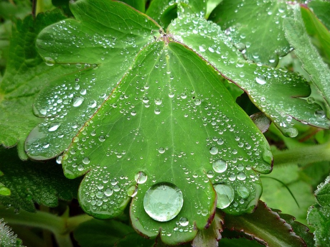 «Остров сокровищ существует!» (Путешествия, детские программы, детские путешествия)