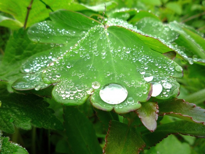 «Остров сокровищ существует!» (Путешествия, детские программы, детские путешествия)