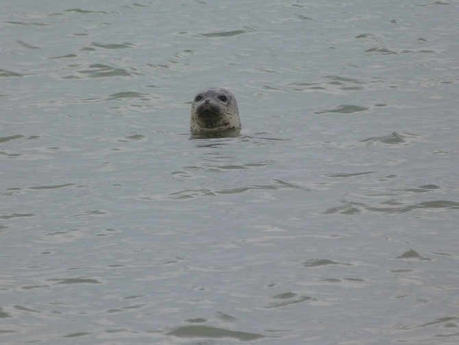 «Остров сокровищ существует!» (Путешествия, детские программы, детские путешествия)