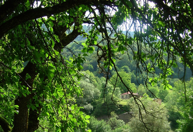 Путешествие в Чаргали. В гостях у Важа Пшавела (Горный туризм)